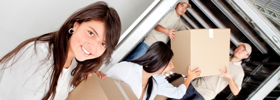 Professional Removalists East Russell